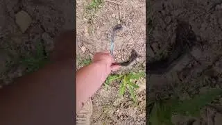 Это вам не медный бунт