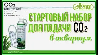ISTA CO2 Starter Set. Стартовый набор для подачи CO2 в аквариум. Часть №1.