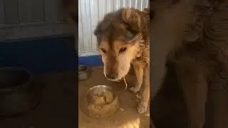 Дональд 🤗