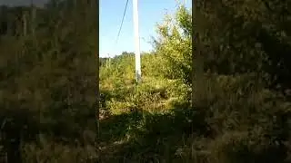 Съела всю траву