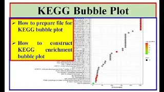 Kegg pathway bubble plot 
