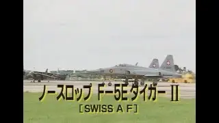 ノースロップ Fー５E タイガーⅡ/Northrop F-5E(Swiss Armed Forces)