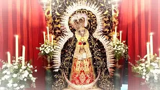 [HD] Veneración de María Stma de los Dolores de los Servitas Cadiz 2023