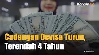 Cadangan Devisa Tetangga RI Ini Anjlok ke Level Terendah 4 Tahun Terakhir | KONTAN News