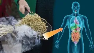 Bekorga Momolarimiz Isiriqqa Vanna Qil Demas Ekanlarda ...