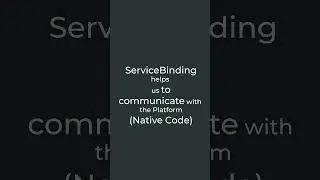 Why we use WidgetsFlutterBinding.ensureInitialized() ?