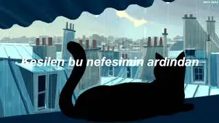 DENİZ TEKİN - DEĞMEZ (COVER) (LYRICS)