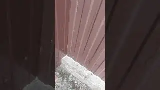 лето -лето 