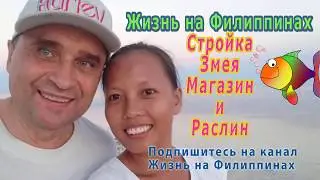 ФИЛИППИНЫ🌴🌴 Змеи атакуют, поход в магазин, Стройка - Новая жизнь на Филиппинах