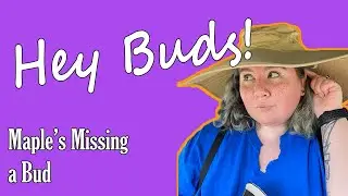 Hey Buds! | Missing Her | Maple #shorts