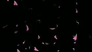 🍁Petals Black Screen 4K Video🥀| ✓Full HD Black Screen Petals Effect | - @AjoyEdit34 #kinemaster