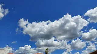Rotina da manhã!!!