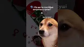 Собачки 🐶 на що Я витрачаЮ гроші? 
