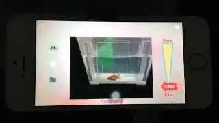 Slow motion & Fast motion VCR help video