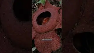 Спасибо ❤️  