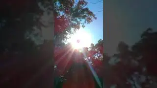 Rotating Sun Simulator!☀️Why? Any Ideas?☀️Close up!☀️@SunSimLord