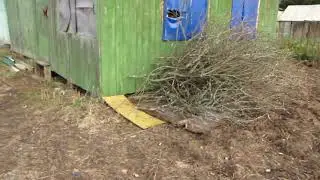 Дача. 18.10.2019