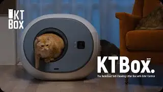 Best of Kickstarter 💡 KTBox Self-Cleaning Cat Litter Box