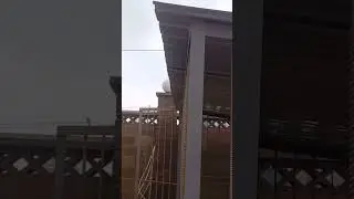 Вольер с будкой для Алабая #dog #своимируками