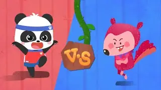 Gấu trúc Kiki & Miumiu || Gấu Trúc Ki Ki Thi Đấu - Nhà Vô Định Thể Thao