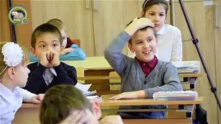 Они спасли 240 ёжиков!