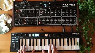 Meditative Prophet Rev2 Jam Along in G