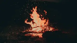 Campfire Nights