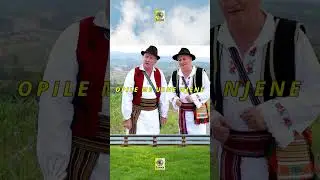 Sanjam ja o zagrljaju,I poljupcu jedne žene. Sviračima novce dajem, opile me usne njene.