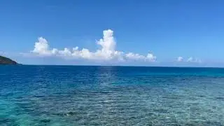 Roatan Adventure Cayos Cochinos & Seamounts | Roatan Realtor Krys Enger