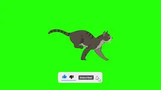Green Screen Cat Running Animation || No Copyright