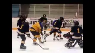Lake Linden Lions part 2