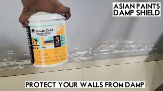 Asian Paints Smartcare Damp Proof | Protect your Walls from Damp