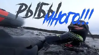 ПОДВОДНАЯ ОХОТА 2023!!! ИЛИ КАК ВЫЙТИ ИЗ ВОДЫ ПУСТЫМ!!!