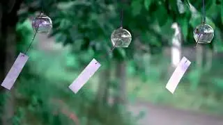 Футаж №369 Ветер