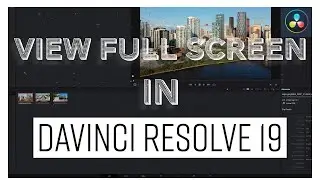 View Full Screen Preview | DaVinci Resolve 19