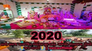 2020 માળી સમાજ આયોજિત ભાદરવા સુદ દસમ  રામાપીર શોભાયાત્રા લીમડી 🙏જય બાબારી🙏 || voiceoflimdi