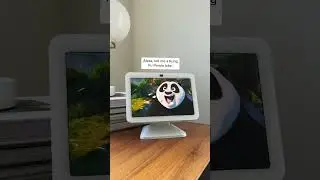 Unleash the power of SKADOOSH! Just say, "Alexa, enable Kung Fu Panda theme."
