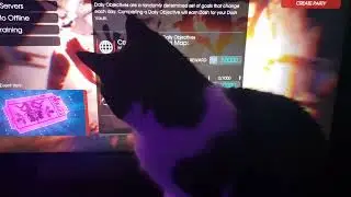 She does this EVERY time