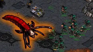 Mass HYDRAS vs Terran! - Jaedong vs SpeeD