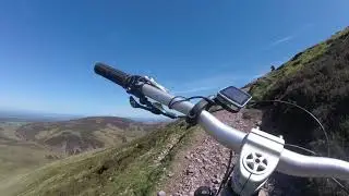 Mountain Goat on the Pentland Hills.