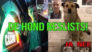 HOND 24 uur laten Bepalen wat we doen!