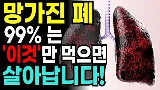 먹기만 하면 폐가 건강해지는 최고의 보약 음식 7가지!  폐렴 기침  천식을 막아줍니다.  가래 싹 사라집니다. 폐 건강 지키는 생활습관. 폐 청소, 호흡기 건강.