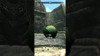 Does This Shot Count? | Skyrim