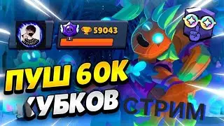 Пуш 60к кубков в BRAWL STARS на стриме + дуэли