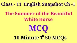 The summer of the beautiful white horse class 11 mcq