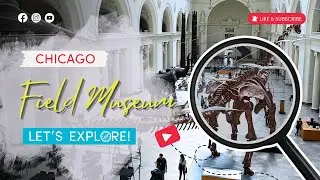 Exploring Chicago's Field Museum