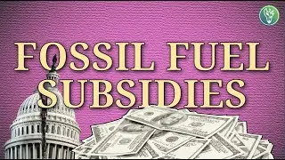 Why Goverments Still Fund Fossil Fuels