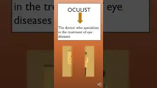 Oculist: Medical Profession Vocabulary