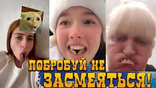 FUNNY VIDEOS | JOKES | FEILS#40