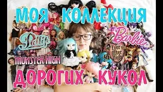 МОЯ КОЛЛЕКЦИЯ ДОРОГИХ КУКОЛ ♡+ КОНКУРС ПУЛЛИП МОНСТЕР ХАЙ БАРБИ ЭВЕР АФТЕР ХАЙ АНИМЕ